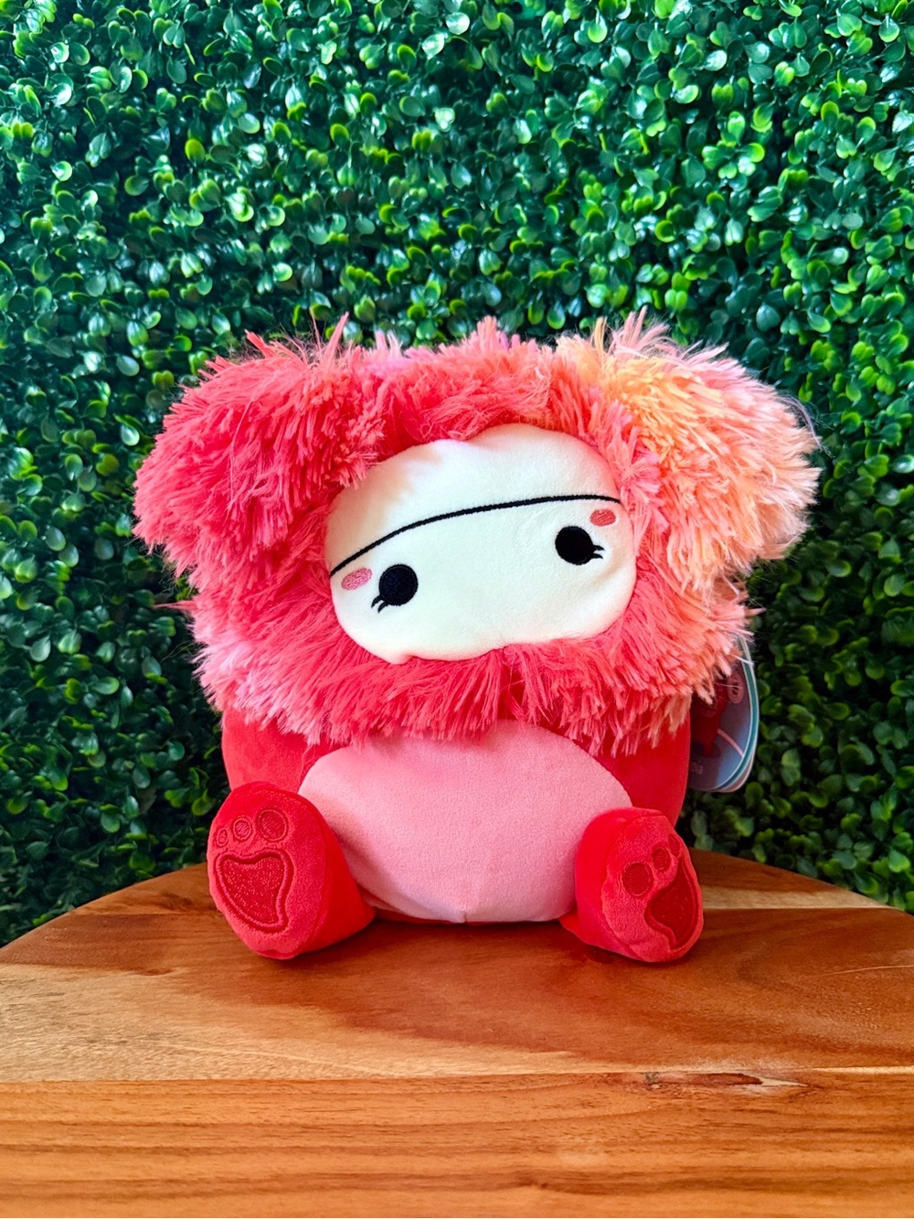 Defect Zinnia the Bigfoot 8” Squishmallow (First to Market)